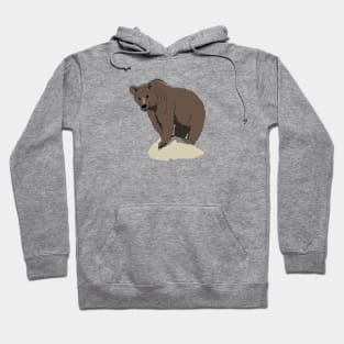 Brown bear Hoodie